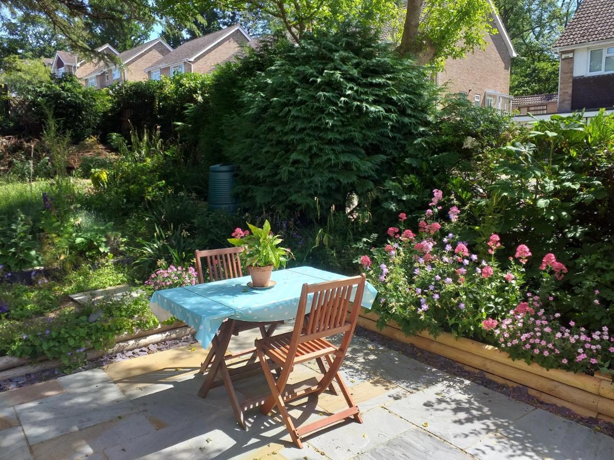 Cheltenham Studio Apartment エクステリア 写真